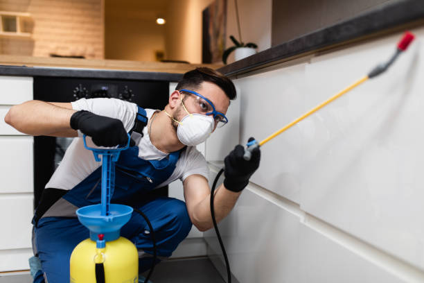 Reliable Neuse Forest, NC Pest Control Solutions