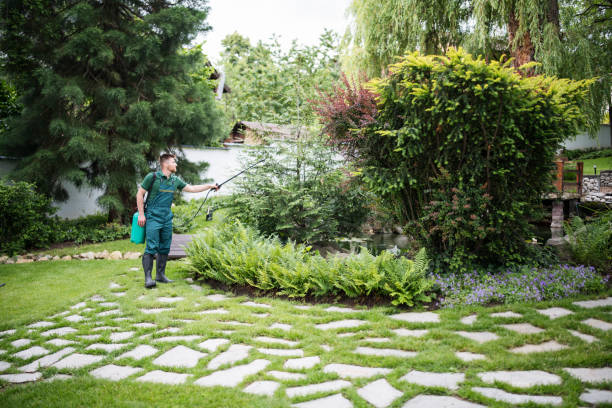 Best Local Pest Control Services  in Neuse Forest, NC