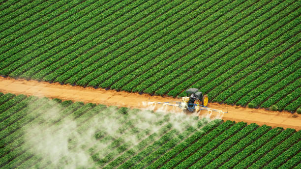Best Pest Prevention Services  in Neuse Forest, NC